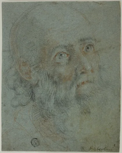 Cigoli, Head of a Bearded Man, Looking Up to Right: Study for Saint Catherine of Alexandria Disputing with the Pagan Priests