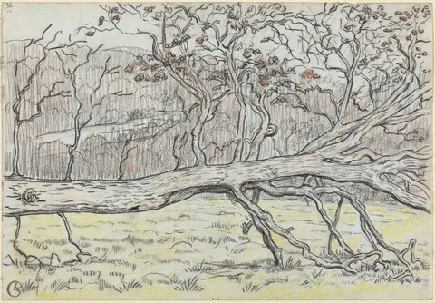 Georges Lacombe, Felled Tree, Normandy