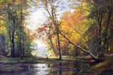 Carl Frederik Aagaard, Forest landscape, autumn.