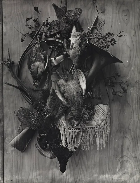 Adolphe Braun, Trophy of the Hunt