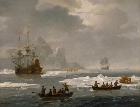 Wigerus Vitringa, A Bear Hunt in the Arctic