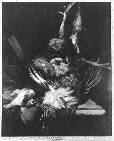 Cornelis Lelienbergh, Untitled