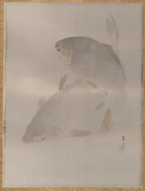 Watanabe Shōtei, Carp swimming