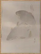 Watanabe Shōtei, Carp swimming
