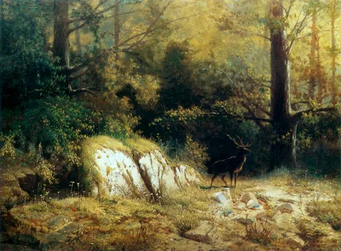 Feliks Brzozowski, Forest landscape with a deer.
