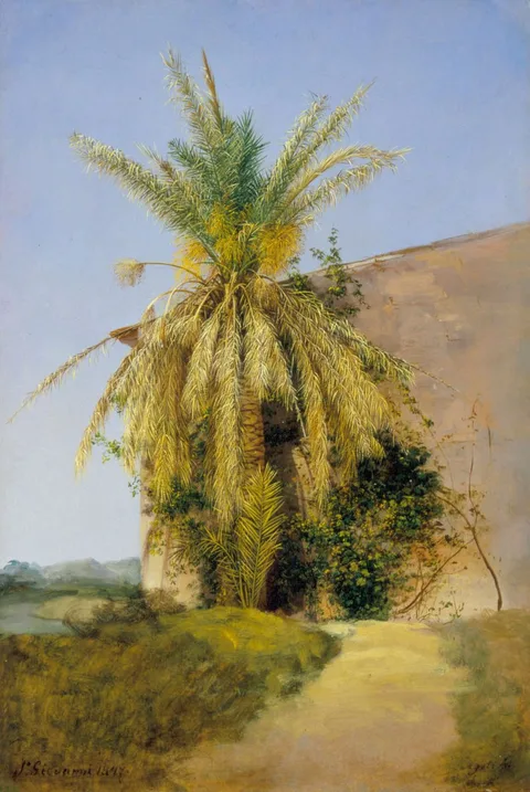 Antal Ligeti, Palm