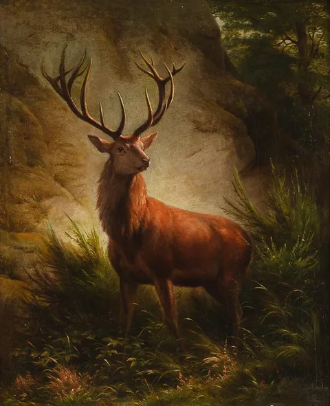 Johannes Deiker, Sixteen Ender in front of a rock in summer forest landscape
