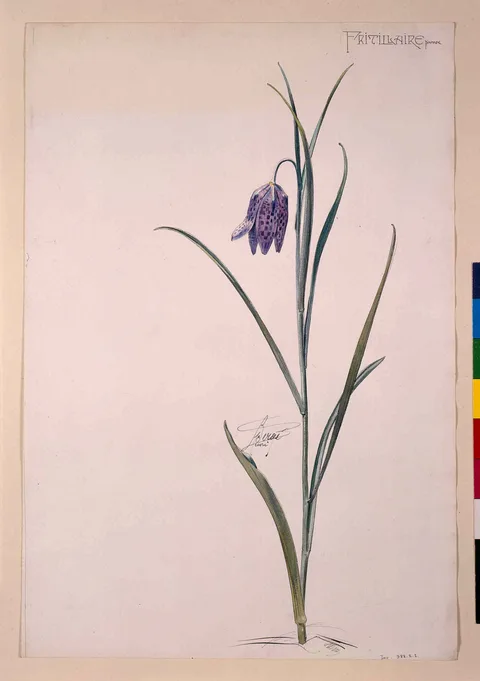 Henri Bergé, Untitled