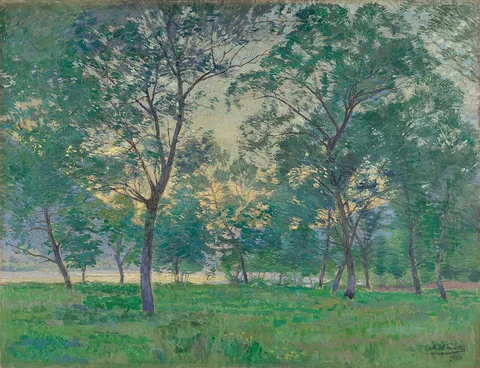 Anton Nowak, Untitled