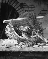 William Hammer, Italian fish and lobsters