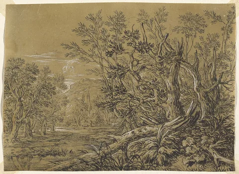Jonas Umbach, Stream through an Ancient Forest