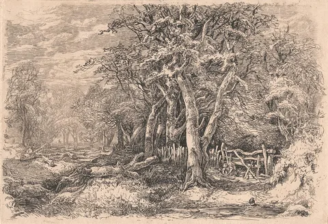 John Middleton, Gunton Park