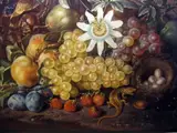 Johann Daniel Bager, Still life