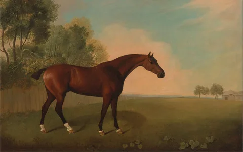 John Boultbee, A Bay Horse in a Field