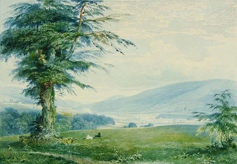 Penry Williams, View from Gwaelod-y-Garth