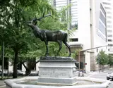 Roland Hinton Perry, Elk