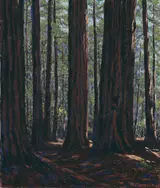 Wallace Leroy DeWolf, Among the Redwoods