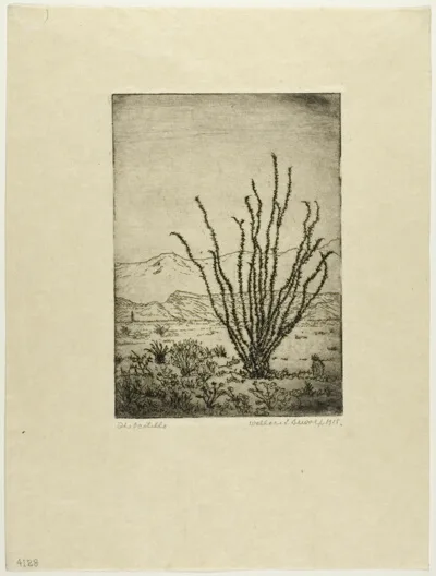 Wallace Leroy DeWolf, The Ocotillo