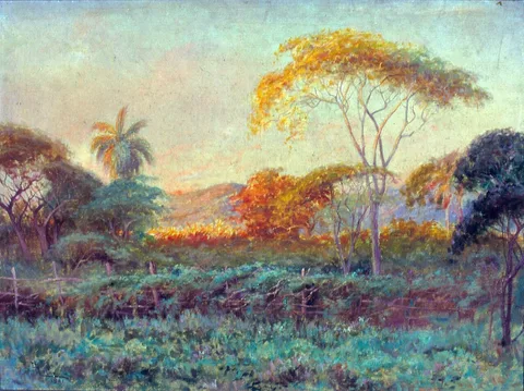 Aurélio de Figueiredo, Paisagem