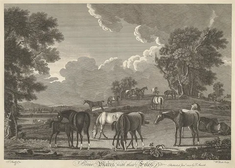 William Elliott, [Horse-racing] Set of six: 2. Brood Mares with their Foles