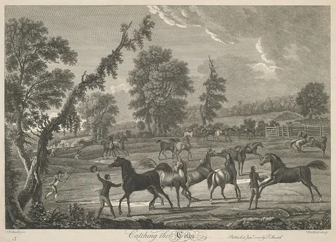 William Elliott, [Horse-racing] Set of six: 3. Catching the Colts