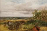 Henry Harris Lines, Landscape