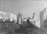 Demetrio Cosola, In the Sun