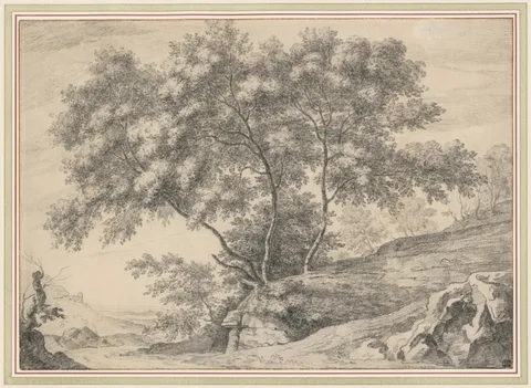 John Claude Nattes, A Clump of Trees on a Rocky Outcrop