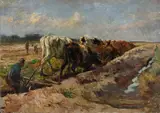 Roland Larij, Untitled