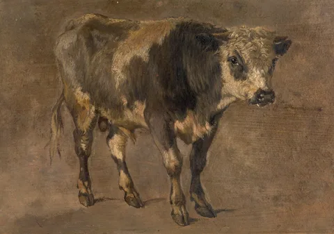 André Plumot, Bull