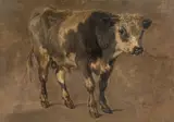 André Plumot, Bull