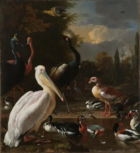 Melchior d'Hondecoeter, A Pelican and other Birds near a Pool, Known as ‘The Floating Feather’