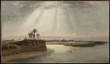 George Harvey, White Pelicans in Florida