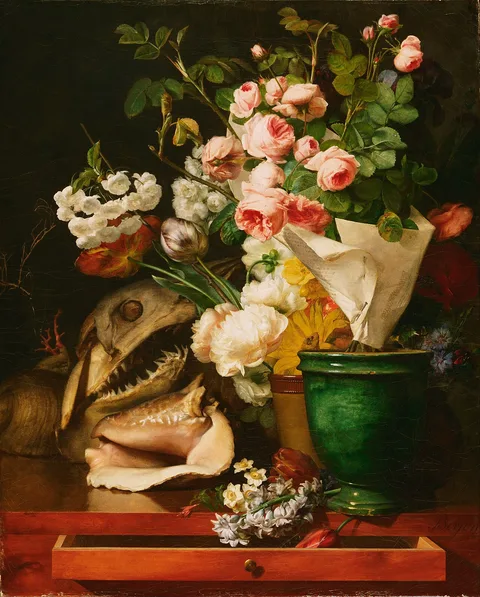 Antoine Berjon, Still Life with Flowers, Shells, a Shark's Head, and Petrifications