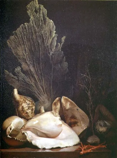 Antoine Berjon, Still Life of Shells and Coral