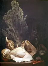 Antoine Berjon, Still Life of Shells and Coral