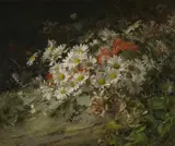 William Jabez Muckley, Wild Flowers
