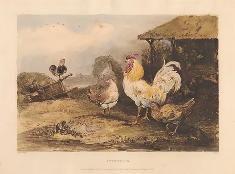 James Fahey, Rural Chivalry; A Series in six plates of Fighting Cocks: 1. Attention
