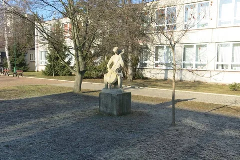Josef Václav Schwarz, Violoncellista