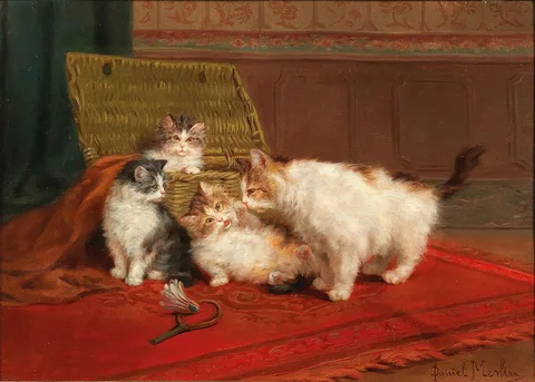Daniel Merlin, Cats