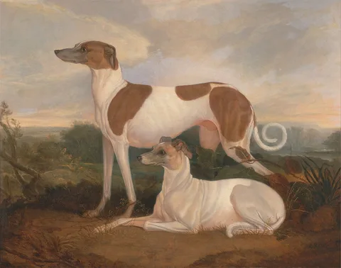 Charles Hancock, Two Greyhounds in a Landscape