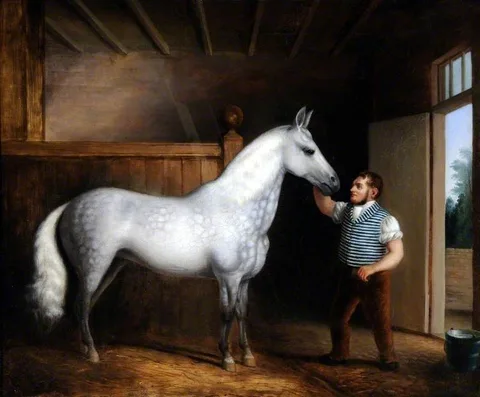 James Poole, 'Cinderella', a Favourite Cob of Mrs Henry Walker's and Her Coachman William Sales
