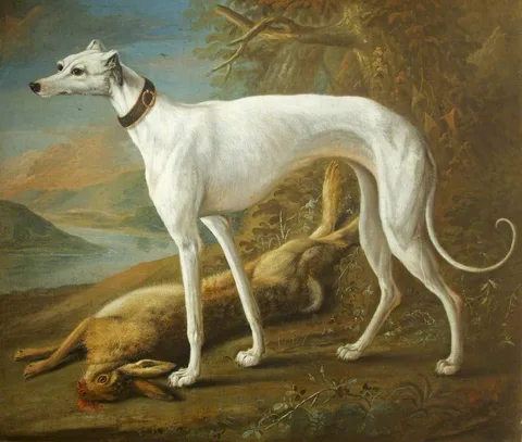 George William Sartorius, A White Greyhound standing over a Dead Hare