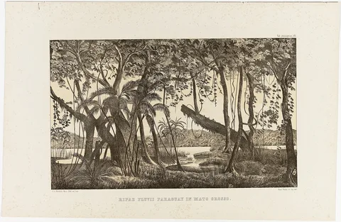 Max Kuhn, Ripae Fluviae Paraguay in Mato Grosso