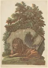 John Baptist Jackson, The Lion