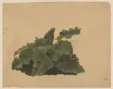 Cornelis Johannes de Vogel, Bladeren van een Rabarberachtige plant