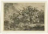 Willem Jan van den Berghe, Landschap met bomen en vrouw op ezel in ondiep water