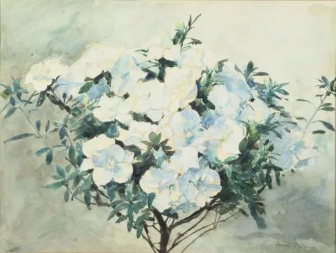 Francis Edward James, White Azaleas - Francis Edward James