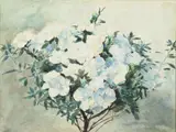 Francis Edward James, White Azaleas - Francis Edward James