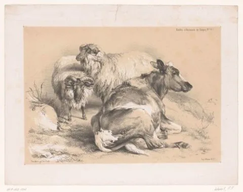 Pierre Frédéric Lehnert, Studie van twee schapen en een koe